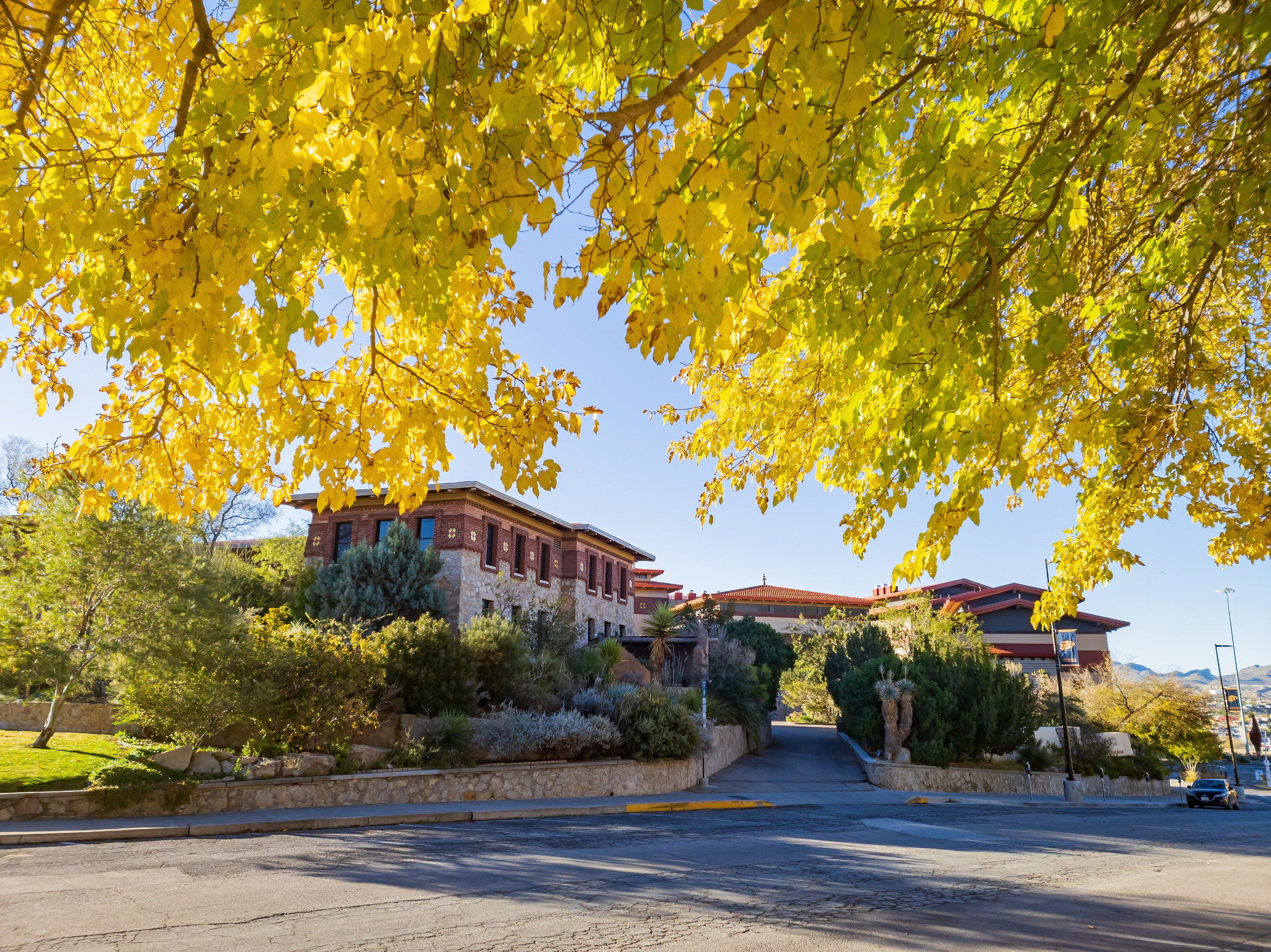 Entrance of a luxury home with yellow fall foliage overhead